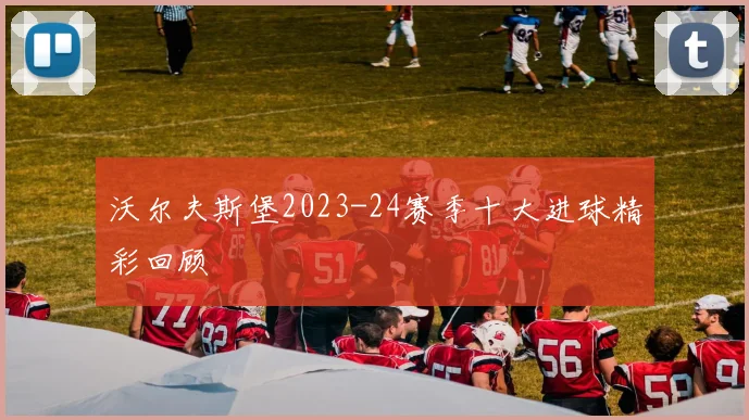 沃尔夫斯堡2023-24赛季十大进球精彩回顾