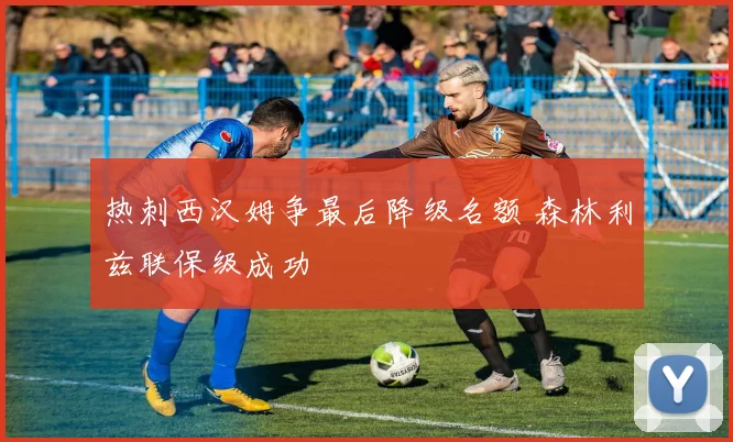 热刺西汉姆争最后降级名额 森林利兹联保级成功